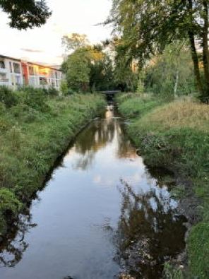 renaturierter Rotbach im Bereich Seniorenheim