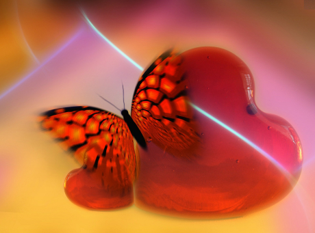 Schmetterling und Herz