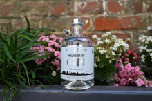 Dinslakener Dry Gin